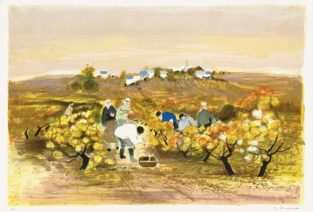 Vignes et vergers - La récolte du raisin