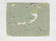 Oiseau B
