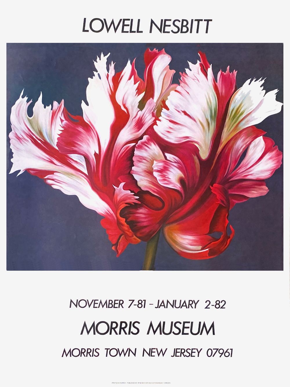 Expo 81 - Morris Museum 