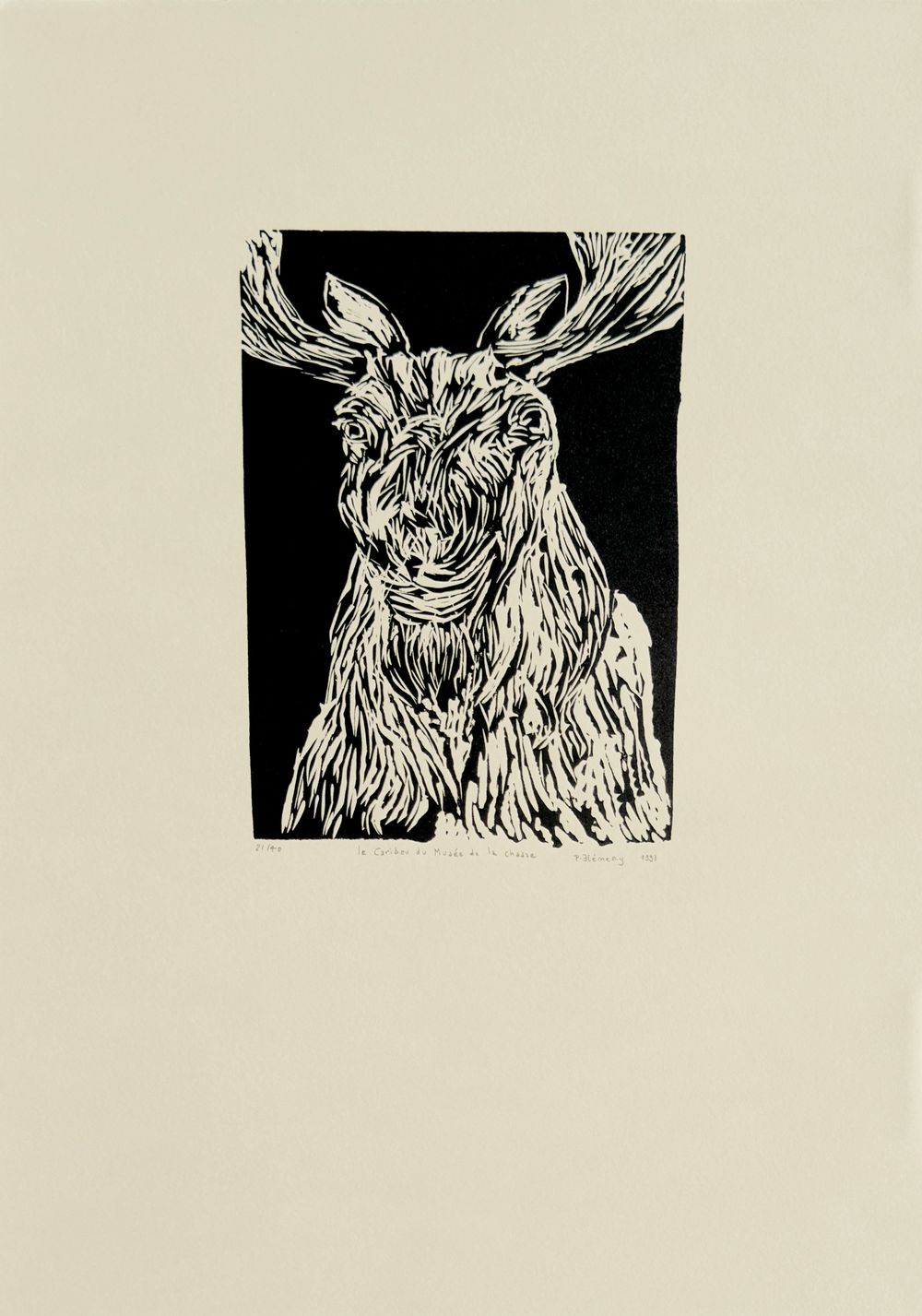 Le caribou du Musée de la Chasse