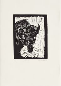 Il bisonte