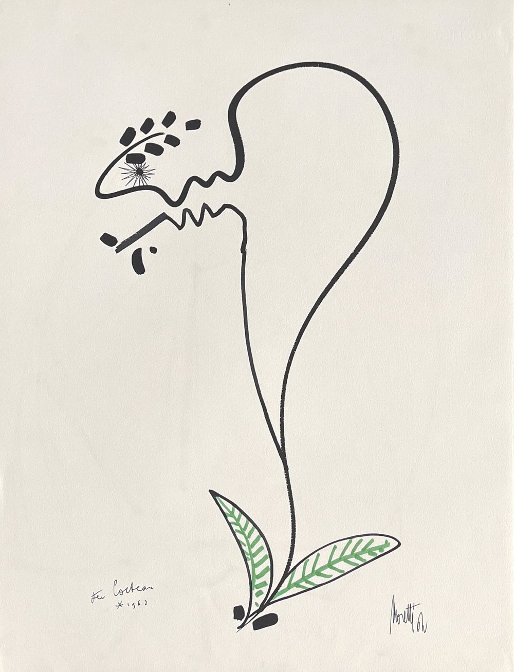 L'âge du verseau : la Fleur de l'Etre