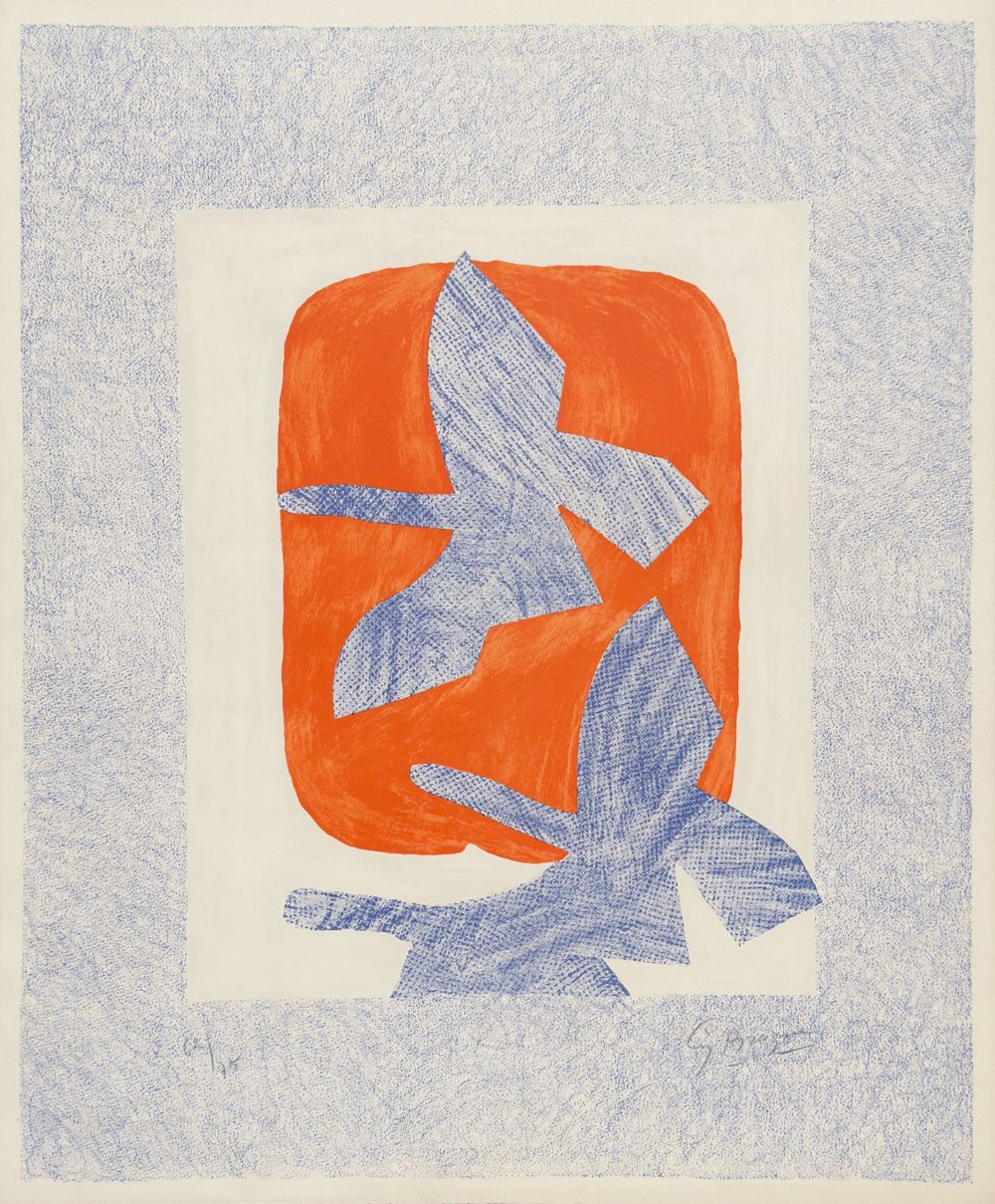 Oiseaux en vol