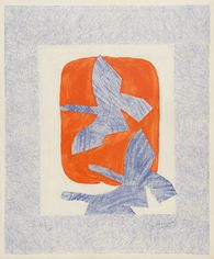Oiseaux en vol
