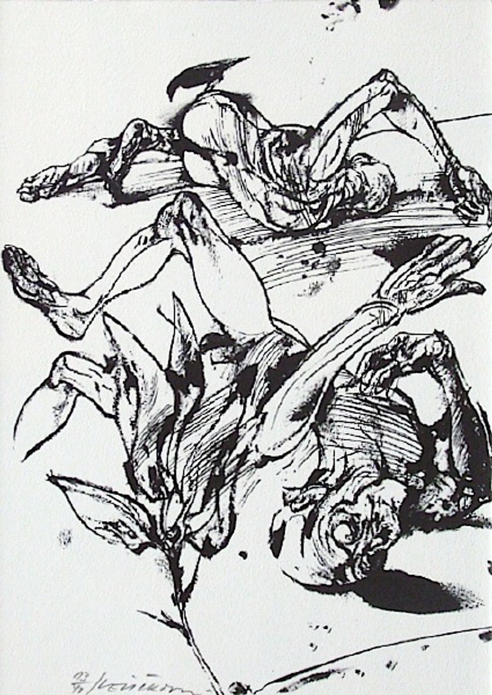 Les Noyers de l'Altenburg 06