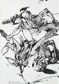 Les Noyers de l'Altenburg 06