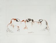 Paesaggio dalmata 