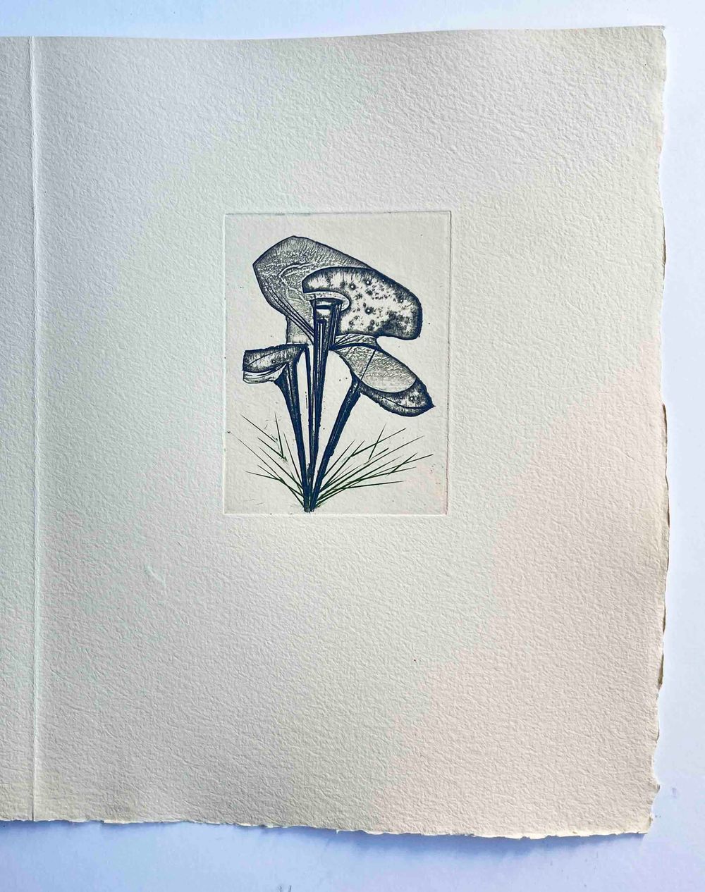 Floréal - 7 etchings