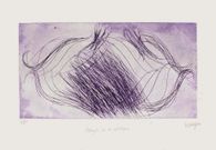 AP216 - Aveuglé par les colchiques