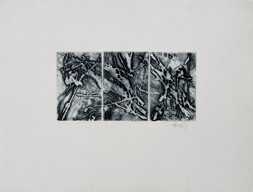 Composition 88-16