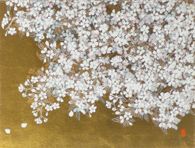 Beauties of Nature IV