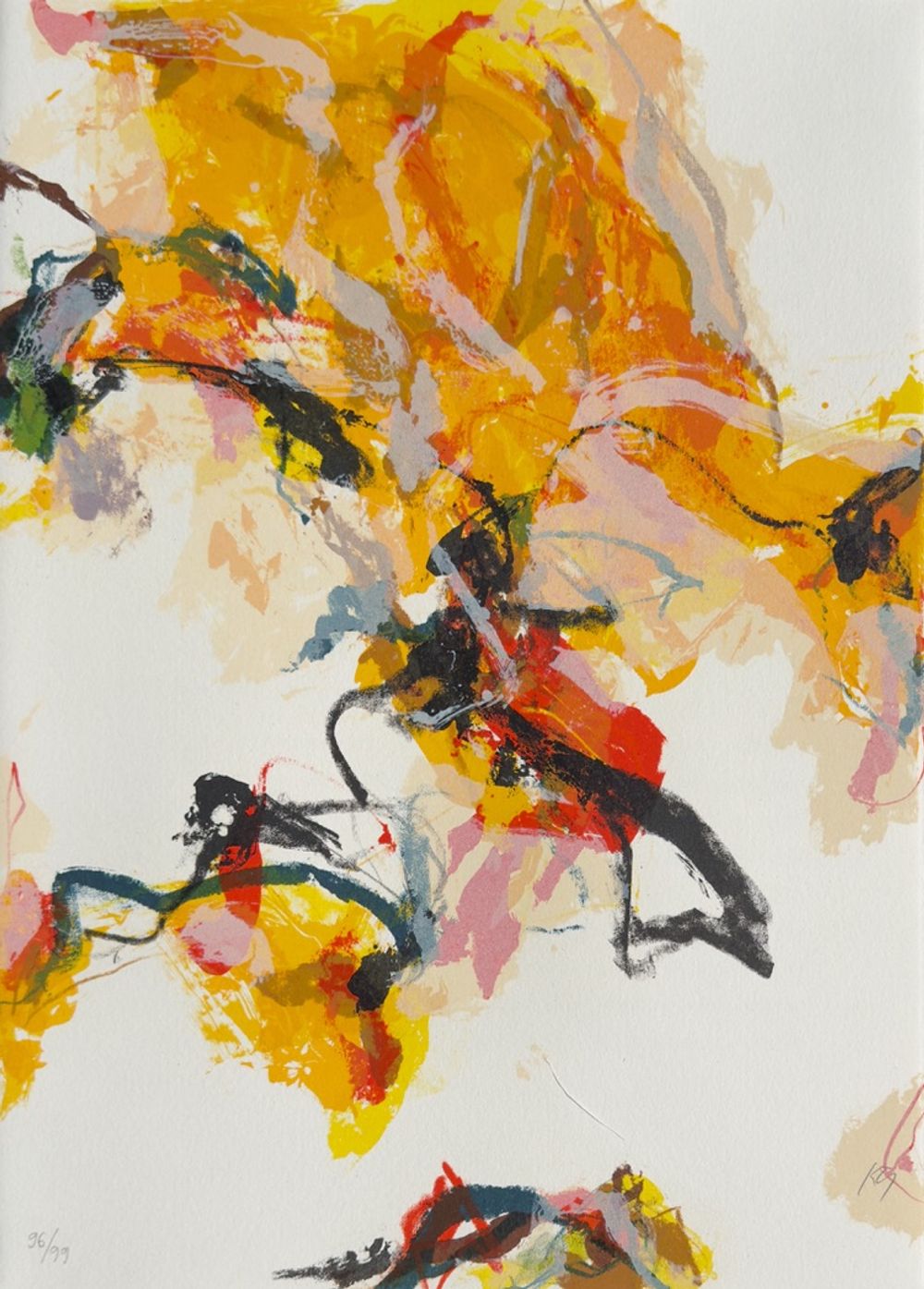 Rêves de couleurs (12 lithographies signées)