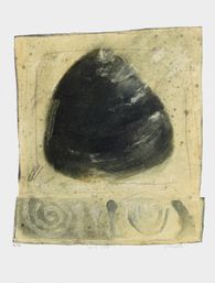 Conche