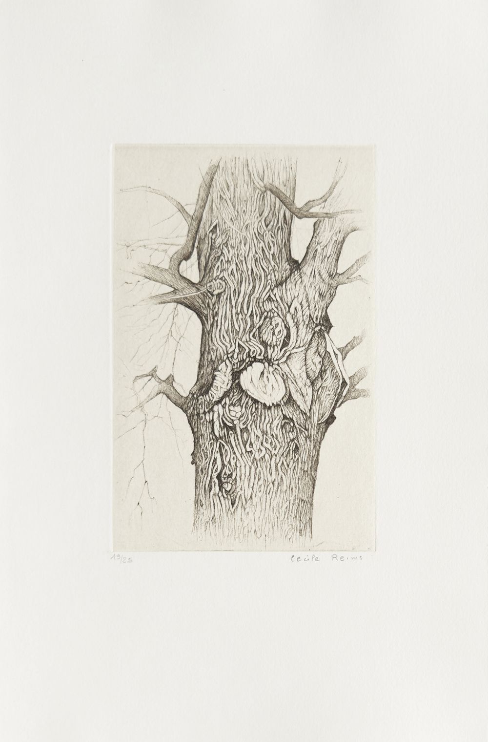 Plaies d'arbres (portfolio de 10 gravures)