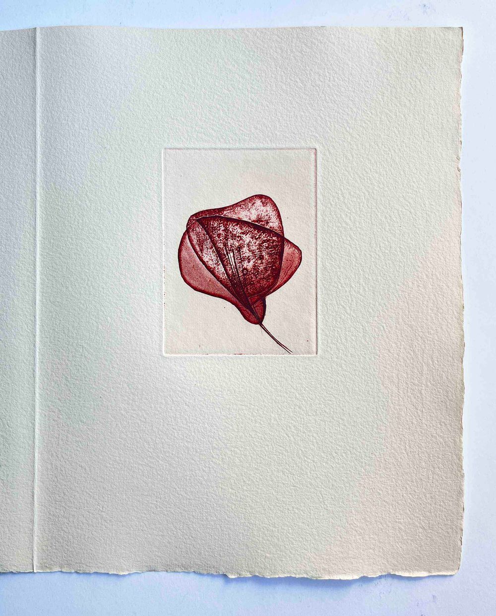 Floréal - 7 etchings