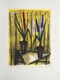 BL serie 25 - Les jacinthes