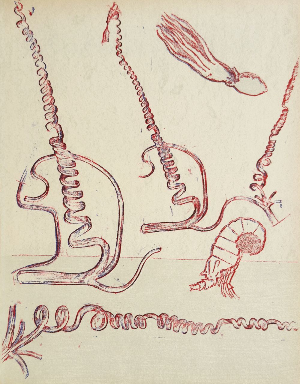 Untitled for XXe Siècle 