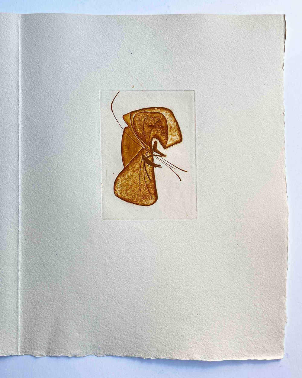 Floréal - 7 etchings