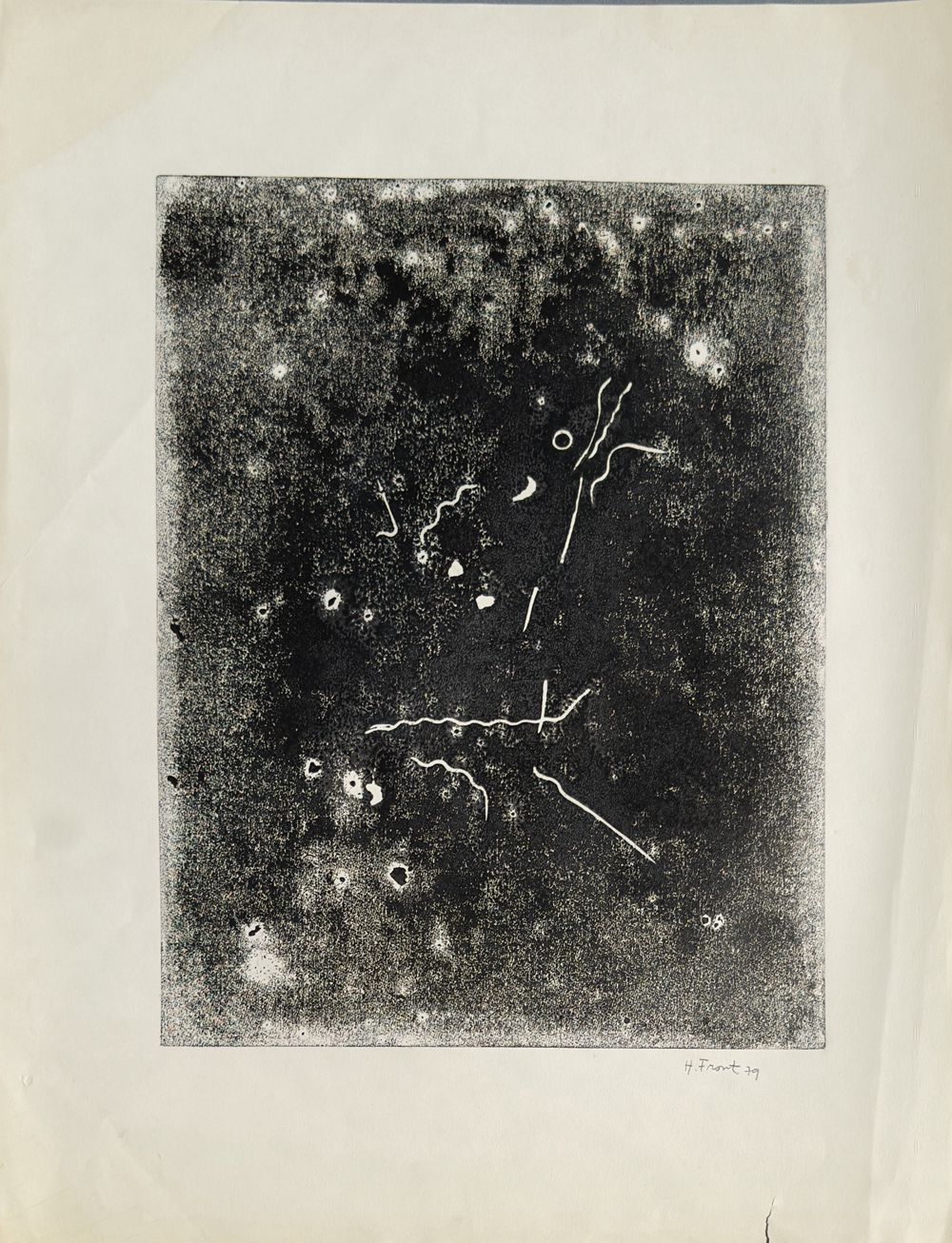L'oiseau I