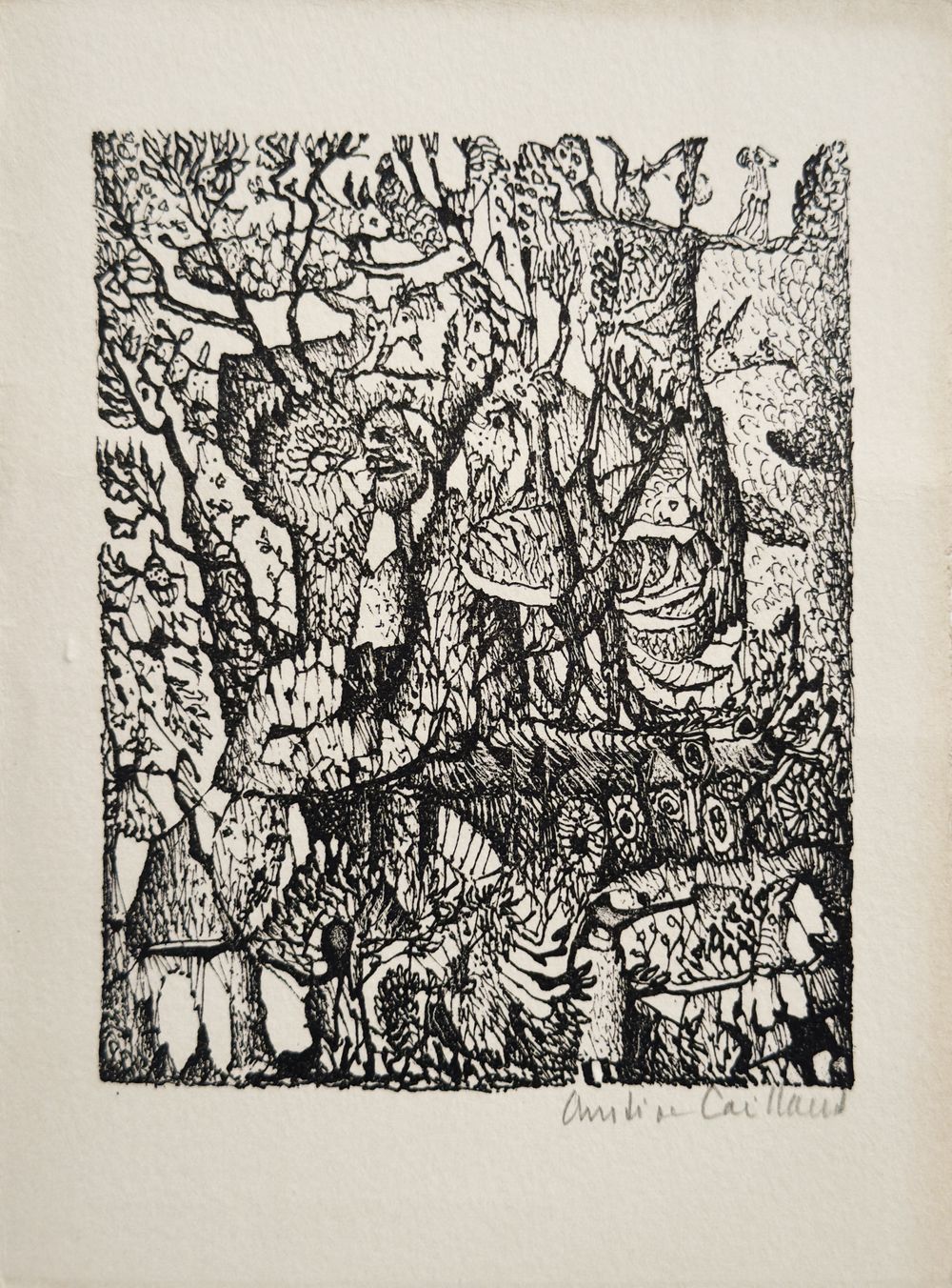 Carte de voeux