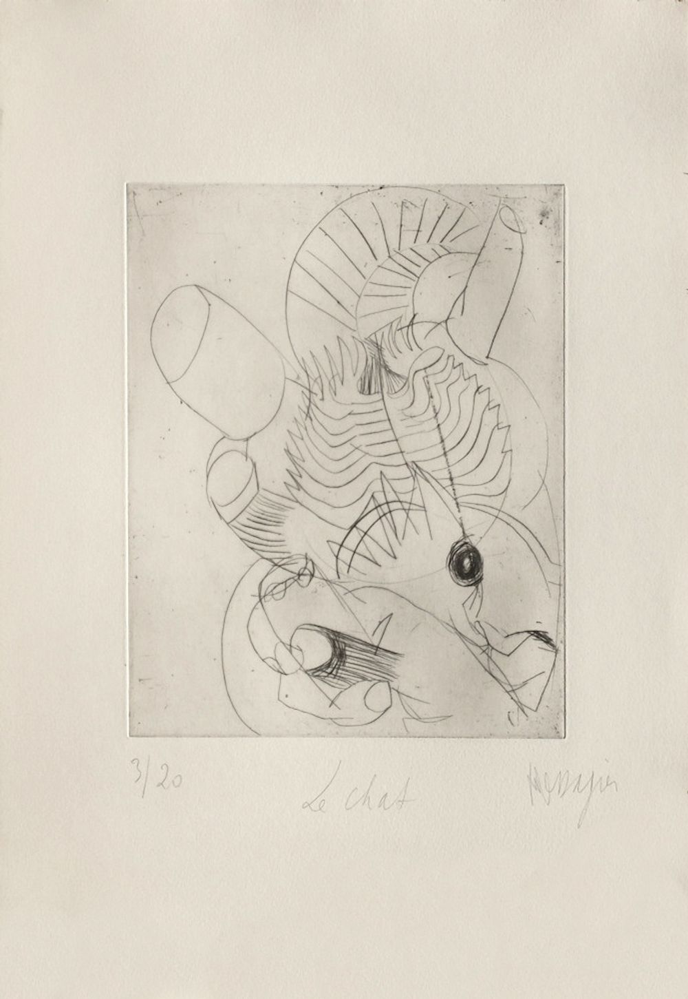 AP031 - Le chat