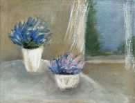 Felrus bleues