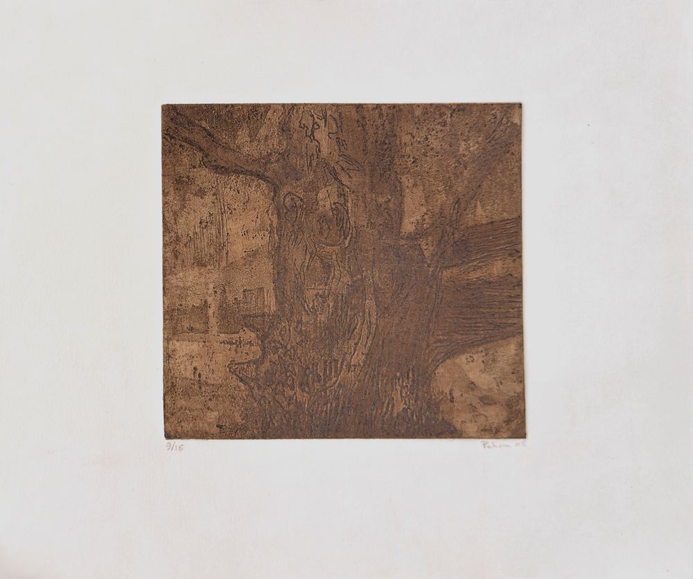 Le vieux chêne de Villiers Saint Frédéric