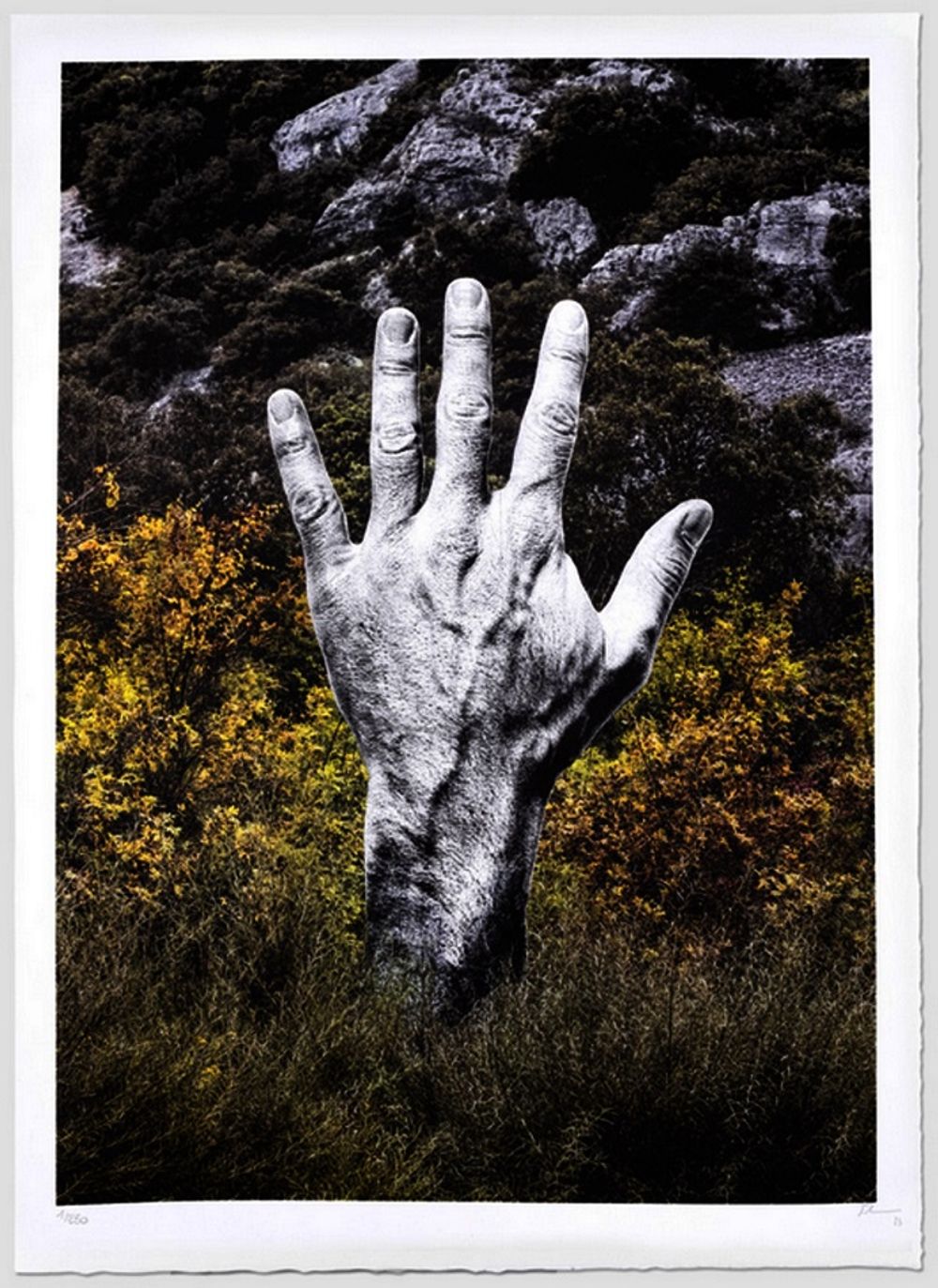 Empreinte, Chauvet, France