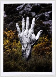 Empreinte, Chauvet, France