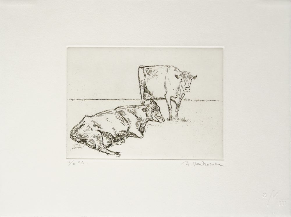 Deux vaches