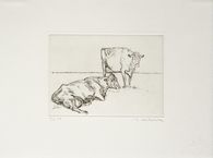 Deux vaches