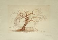 L'arbre