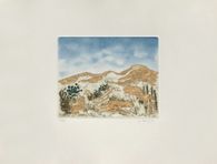 Les Alpilles V