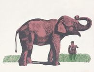 Elefante y General