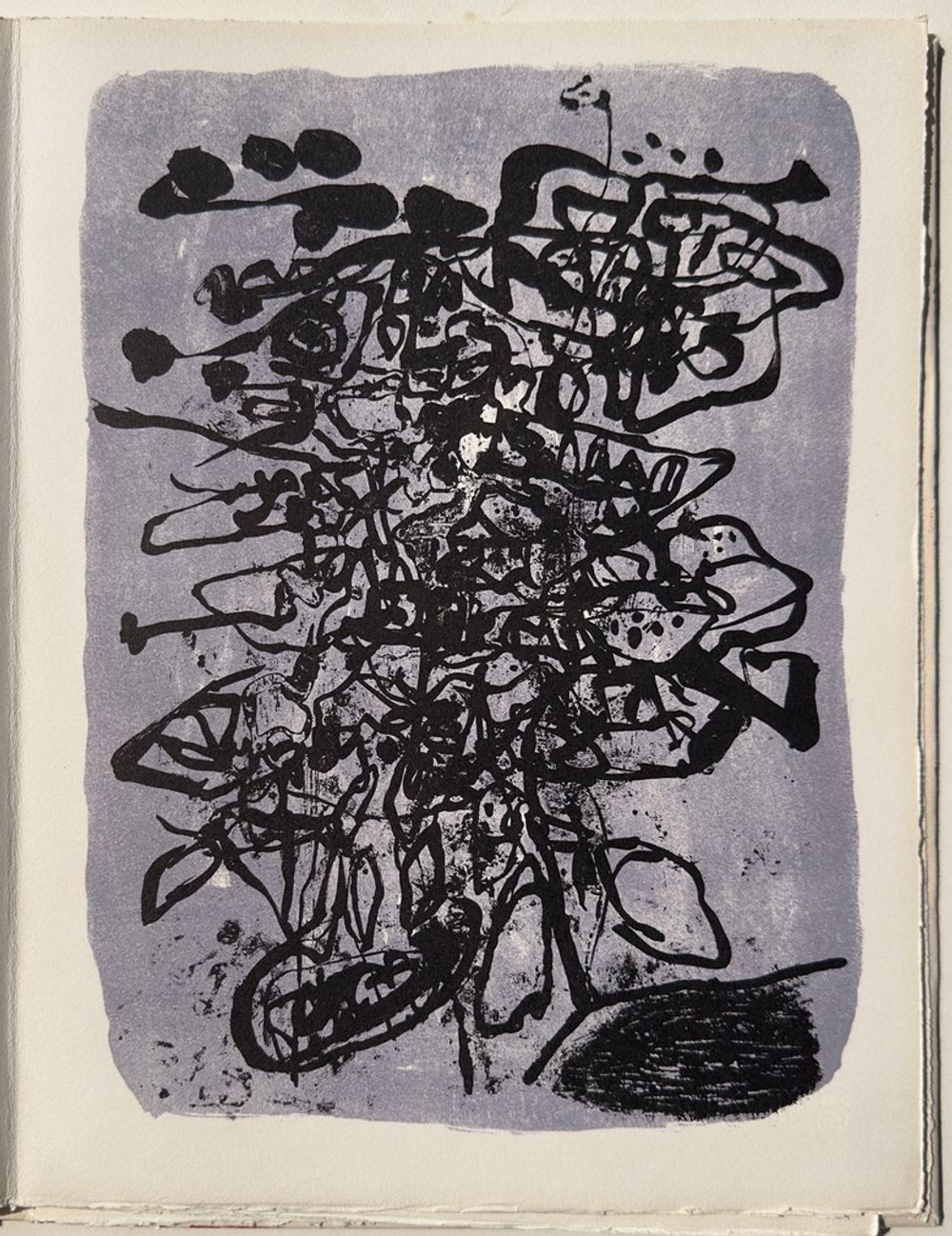 1963 - Jardin errant (8 lithographies)