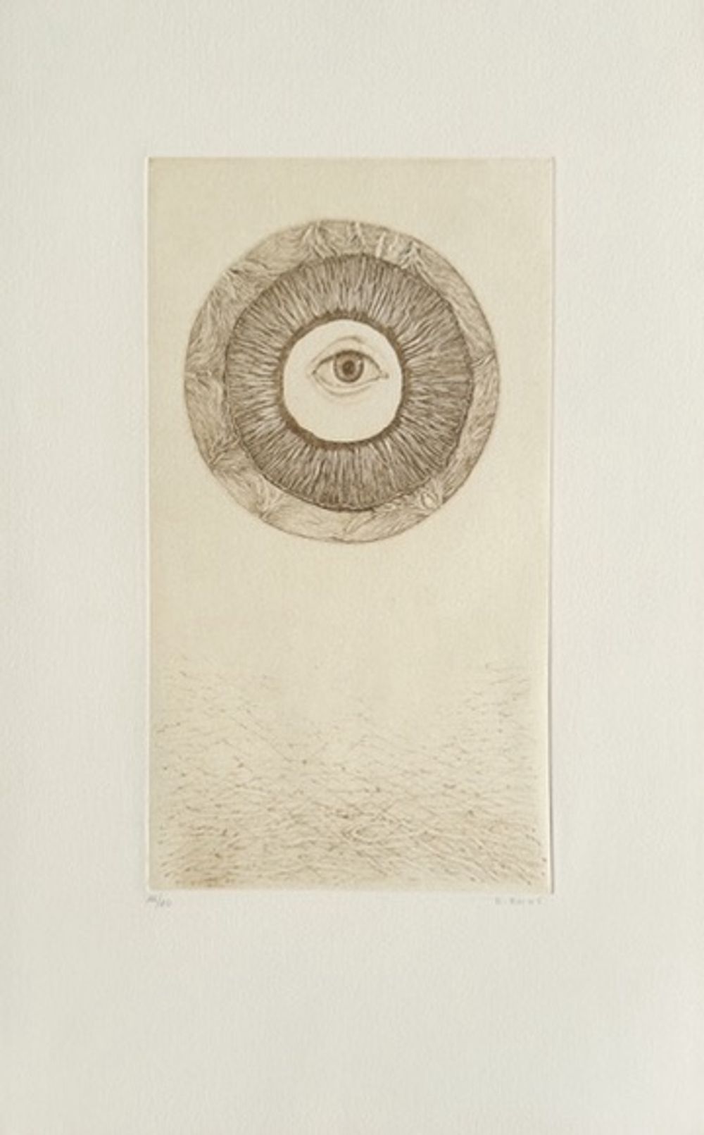 Histoire naturelle IV (portfolio de 5 gravures)