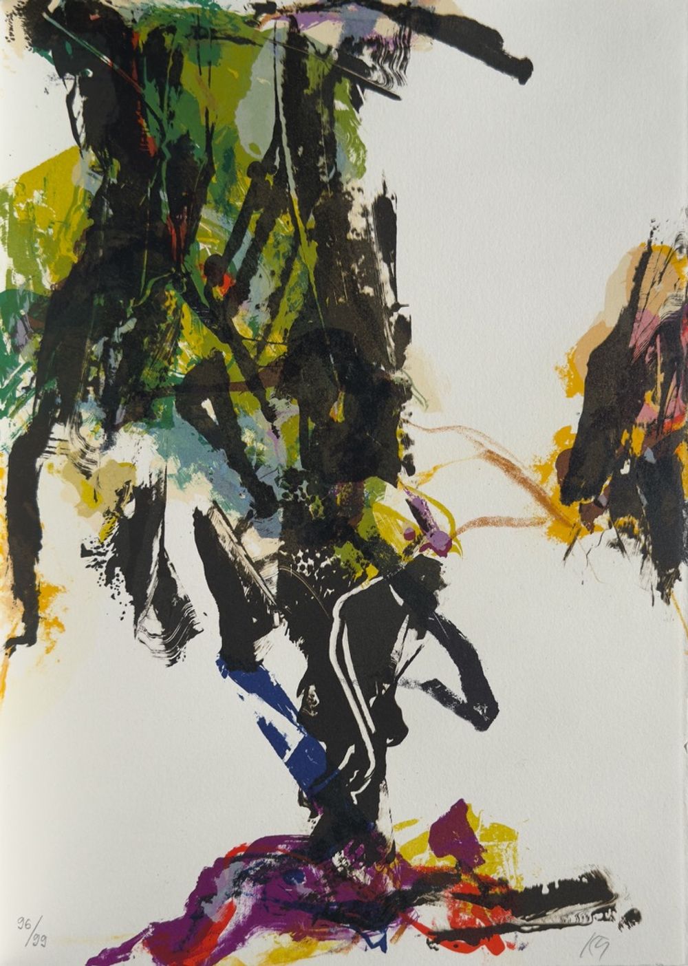 Rêves de couleurs (12 lithographies signées)
