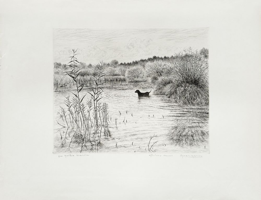 Paysage de Brière II