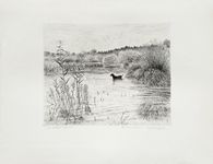 Paysage de Brière II