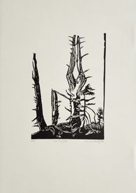La tempête