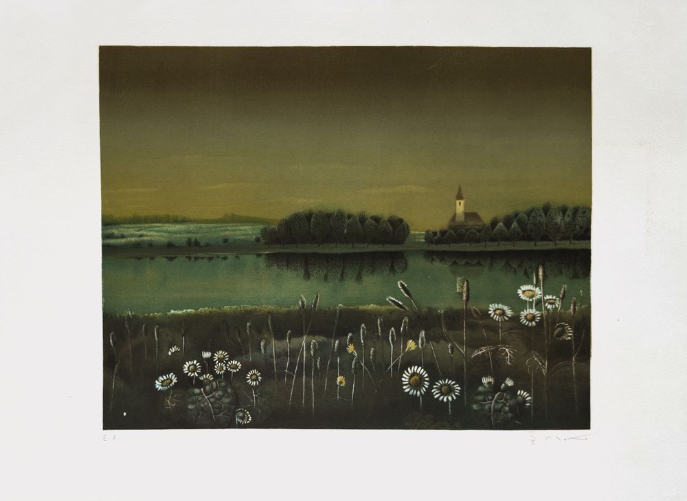 Les marguerites