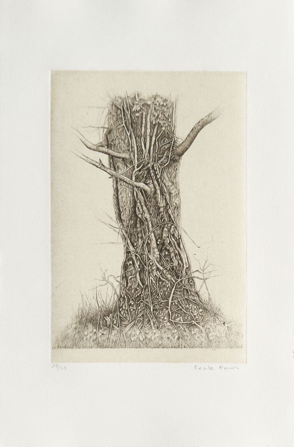 Plaies d'arbres (portfolio de 10 gravures)