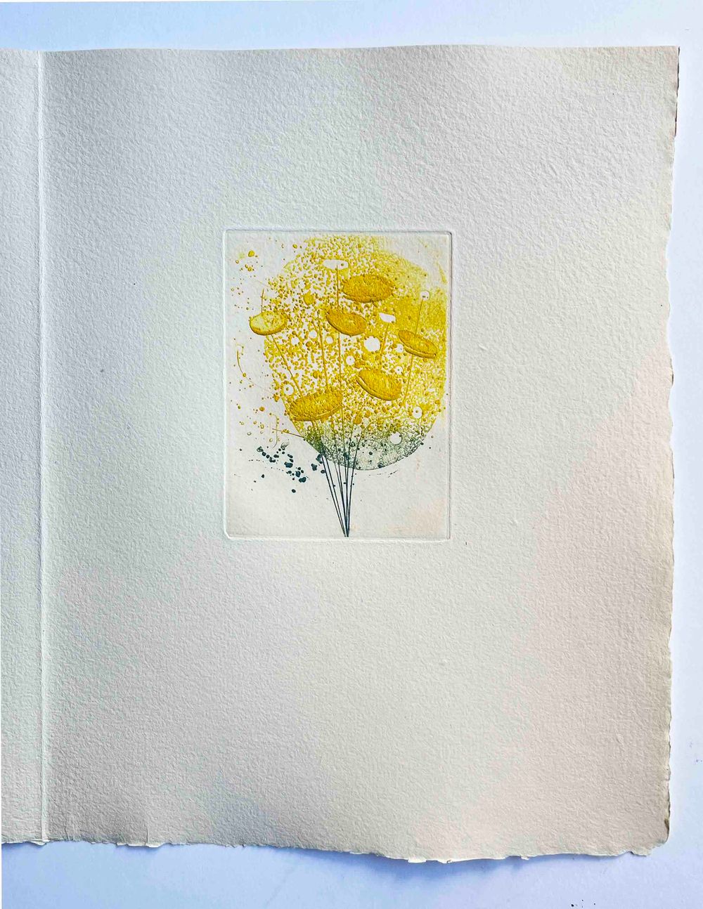 Floréal - 7 etchings
