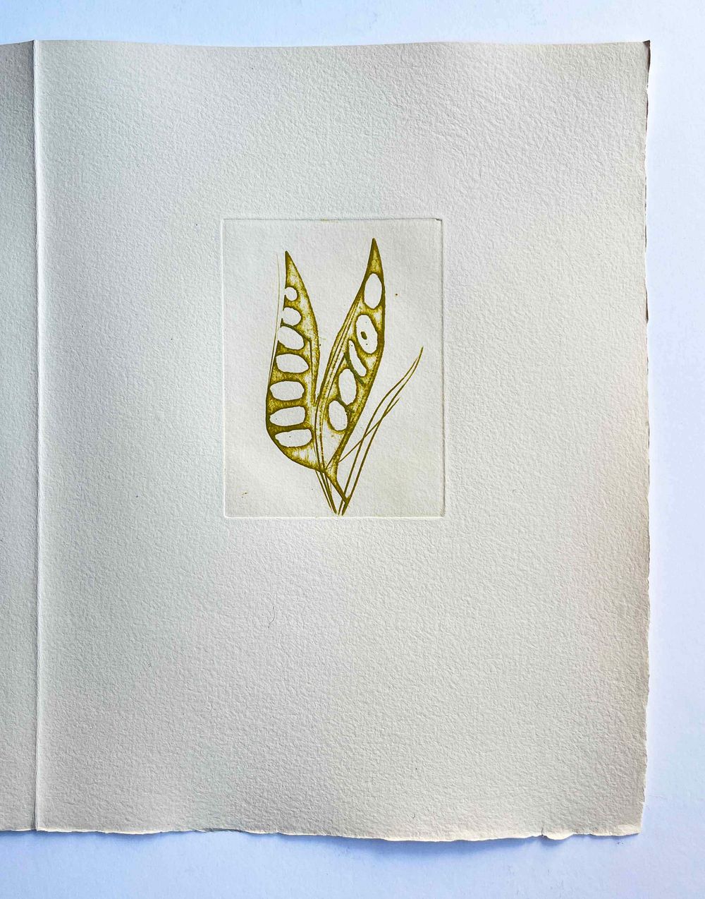 Floréal - 7 etchings