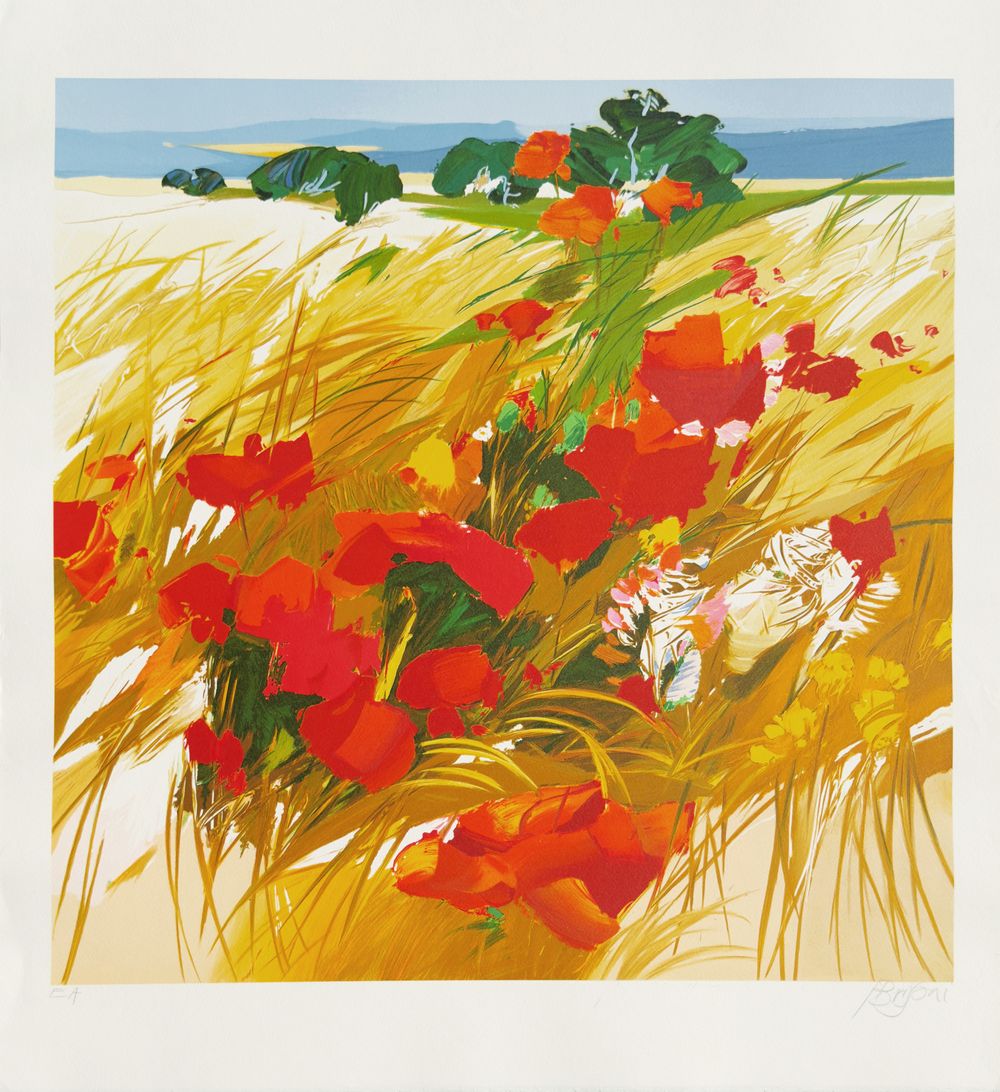 Champ de coquelicots