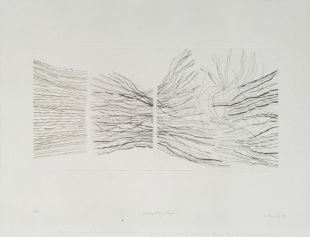 Champs Magnétiques I