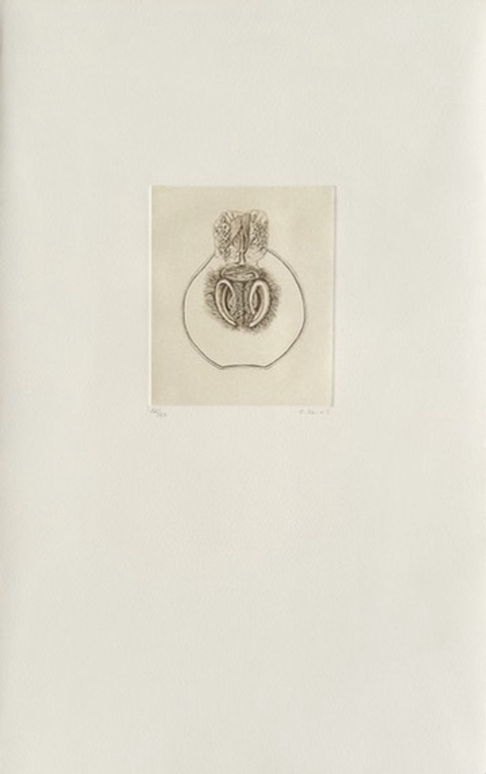 Histoire naturelle IV (portfolio de 5 gravures)