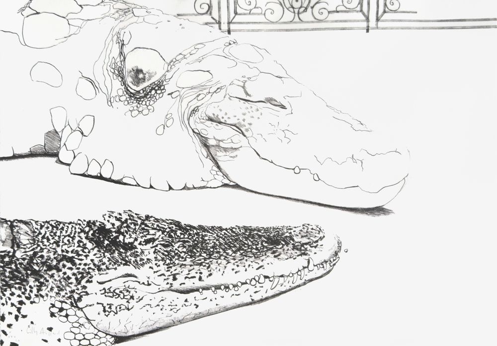 Crocodiles