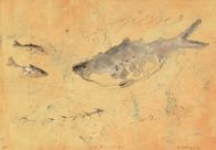 Fishes IV
