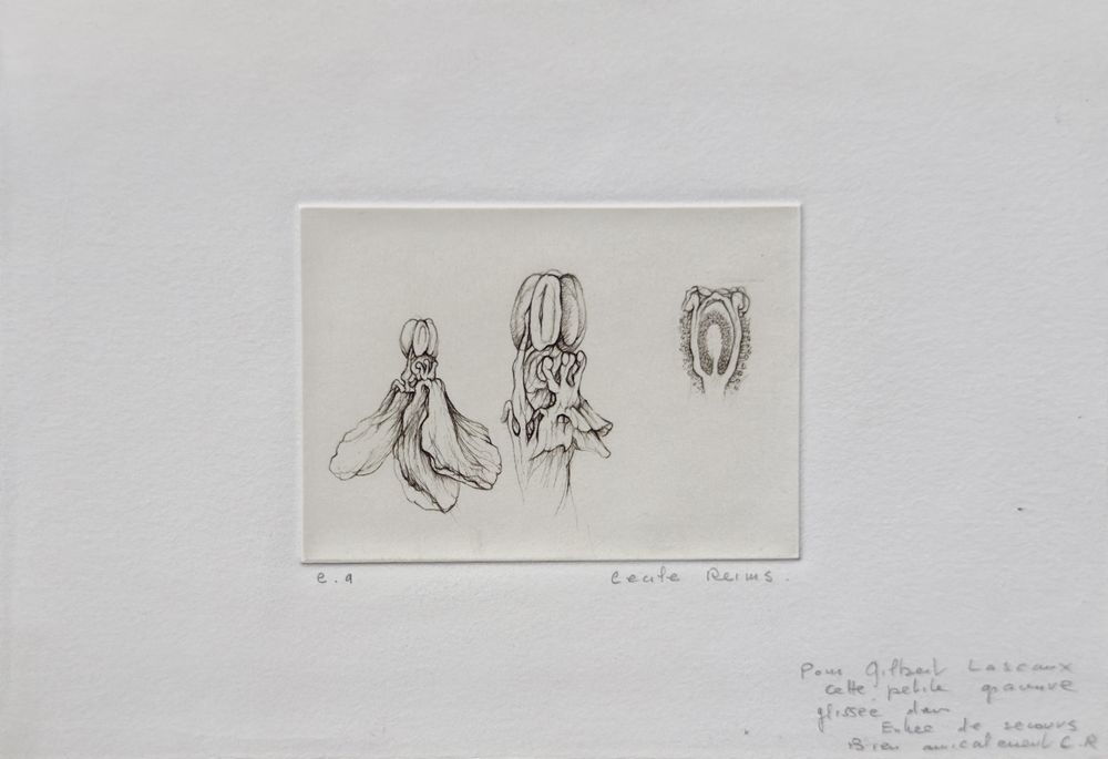 Autour de l'herbier charnel